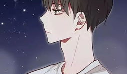 男男动漫网站,激情与情感的交织之旅